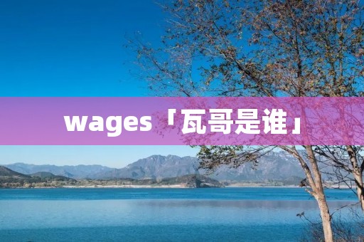 wages「瓦哥是谁」