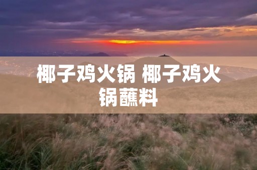 椰子鸡火锅 椰子鸡火锅蘸料