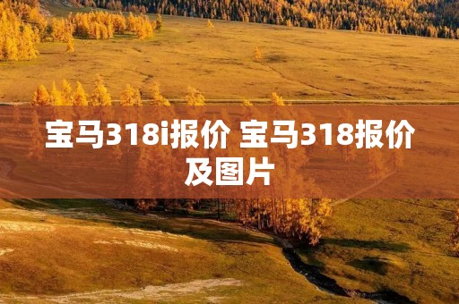 宝马318i报价 宝马318报价及图片 宝马318i报价 宝马318报价及图片