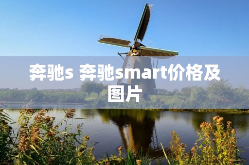奔驰s 奔驰**art价格及图片 奔驰s 奔驰**art价格及图片
