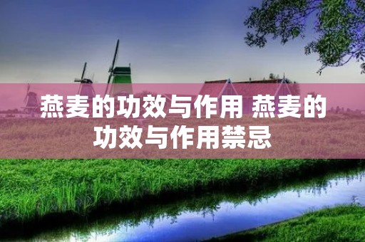 燕麦的功效与作用 燕麦的功效与作用禁忌