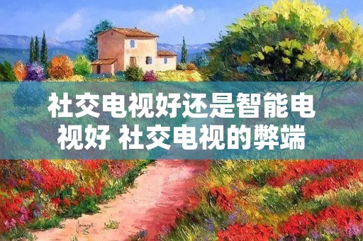 社交电视好还是智能电视好 社交电视的弊端