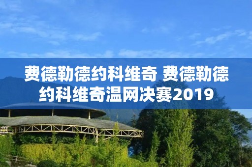 费德勒德约科维奇 费德勒德约科维奇温网决赛2019 费德勒德约科维奇 费德勒德约科维奇温网决赛2019