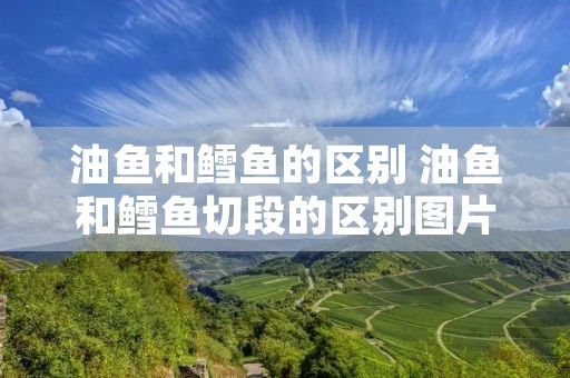 油鱼和鳕鱼的区别 油鱼和鳕鱼切段的区别图片