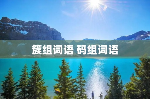 簇组词语 码组词语 簇组词语 码组词语