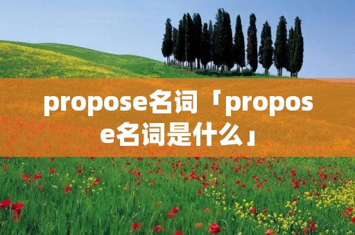 propose名词「propose名词是什么」