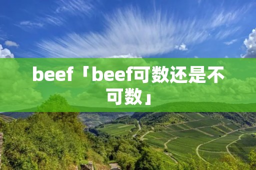 beef「beef可数还是不可数」