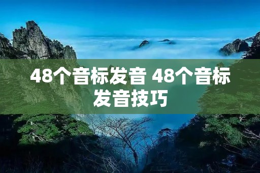 48个音标发音 48个音标发音技巧 48个音标发音 48个音标发音技巧