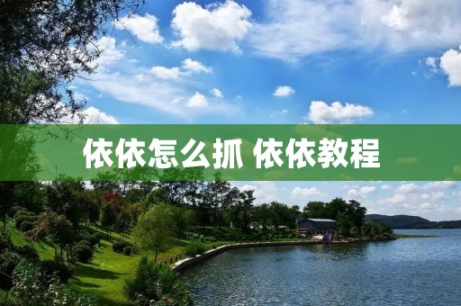 依依怎么抓 依依教程