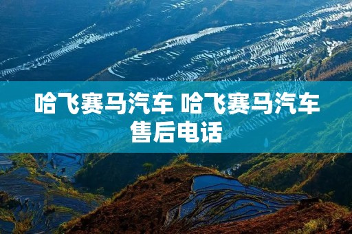 哈飞赛马汽车 哈飞赛马汽车售后**