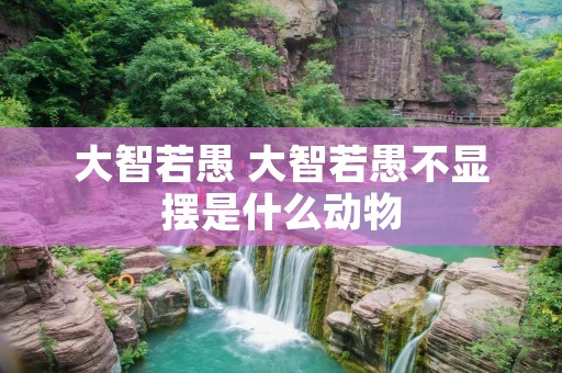 大智若愚 大智若愚不显摆是什么动物