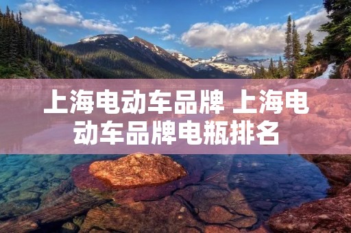 上海电动车品牌 上海电动车品牌电瓶排名