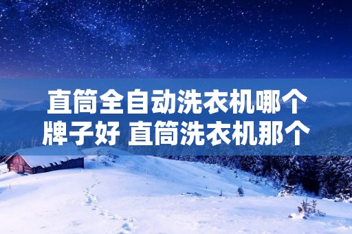 直筒全自动洗衣机哪个牌子好 直筒洗衣机那个牌子好