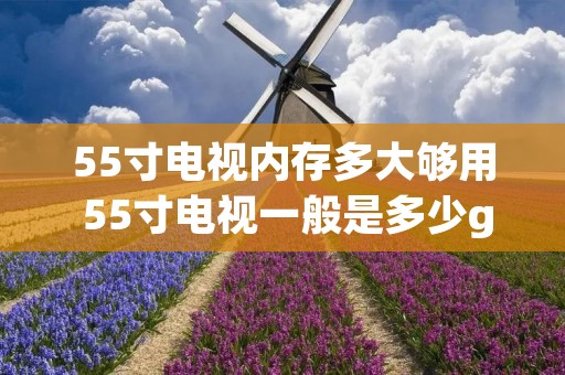 55寸电视内存多大够用 55寸电视一般是多少gb 55寸电视内存多大够用 55寸电视一般是多少gb