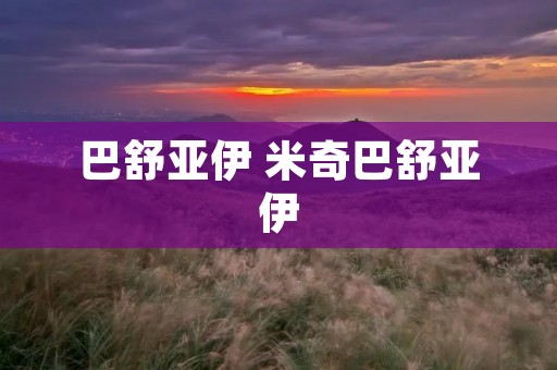 巴舒亚伊 米奇巴舒亚伊