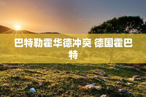 巴特勒霍华德冲突 德国霍巴特 巴特勒霍华德冲突 德国霍巴特