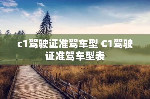 c1驾驶证准驾车型 C1驾驶证准驾车型表