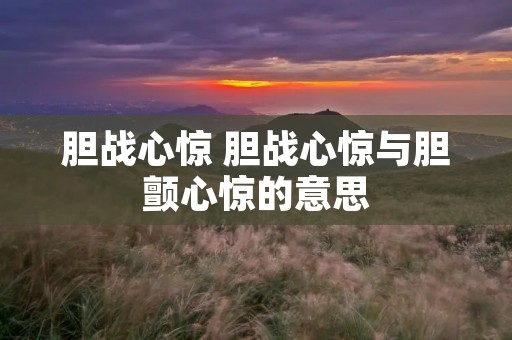 胆战心惊 胆战心惊与胆颤心惊的意思 胆战心惊 胆战心惊与胆颤心惊的意思