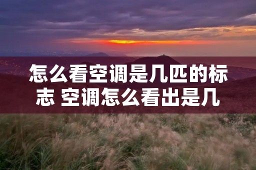 怎么看空调是几匹的标志 空调怎么看出是几匹
