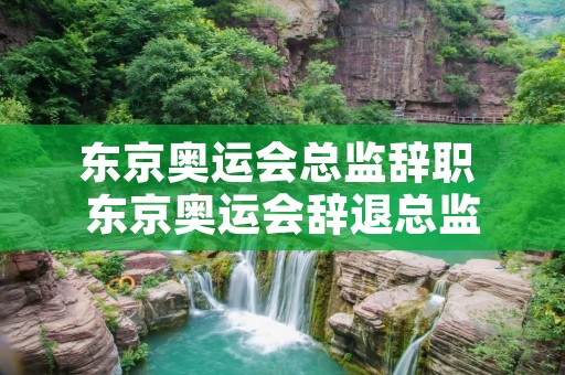 东京奥运会总监辞职 东京奥运会辞退总监 东京奥运会总监辞职 东京奥运会辞退总监