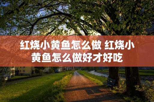 红烧小黄鱼怎么做 红烧小黄鱼怎么做好才好吃