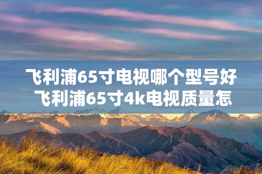 飞利浦65寸电视哪个型号好 飞利浦65寸4k电视质量怎么样 飞利浦65寸电视哪个型号好 飞利浦65寸4k电视质量怎么样