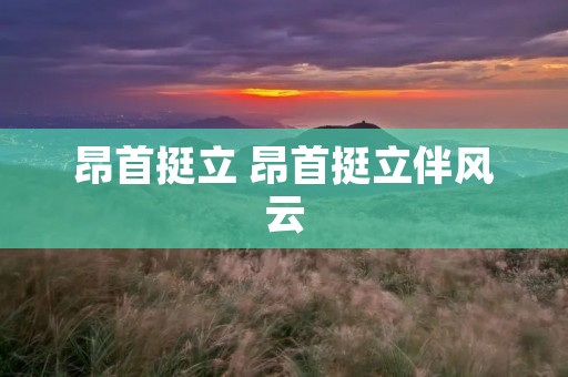 昂首挺立 昂首挺立伴风云 昂首挺立 昂首挺立伴风云