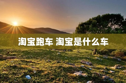 淘宝跑车 淘宝是什么车 淘宝跑车 淘宝是什么车