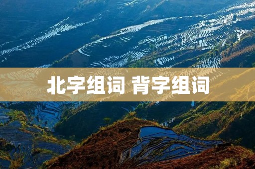 北字组词 背字组词