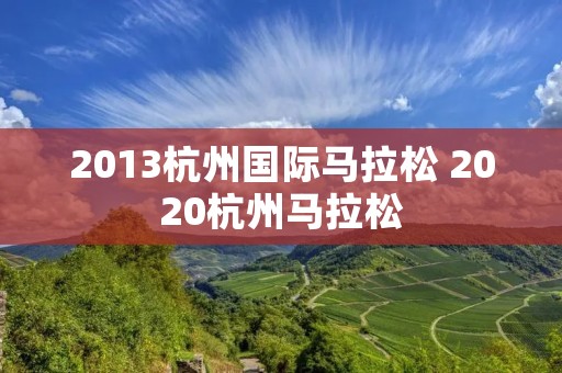 2013杭州国际马拉松 2020杭州马拉松