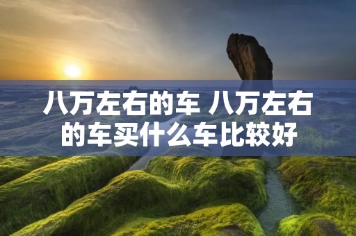 八万左右的车 八万左右的车买什么车比较好