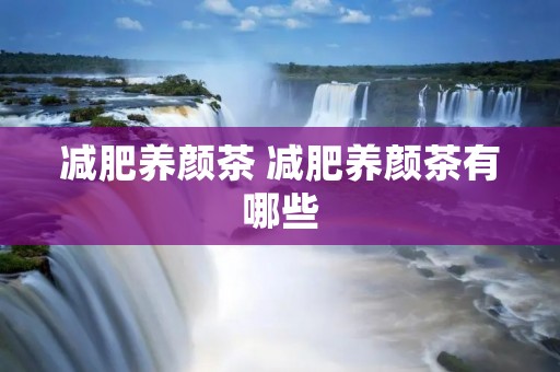 减肥养颜茶 减肥养颜茶有哪些