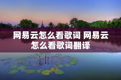 网易云怎么看歌词 网易云怎么看歌词翻译
