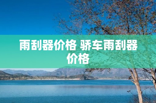 雨刮器价格 骄车雨刮器价格