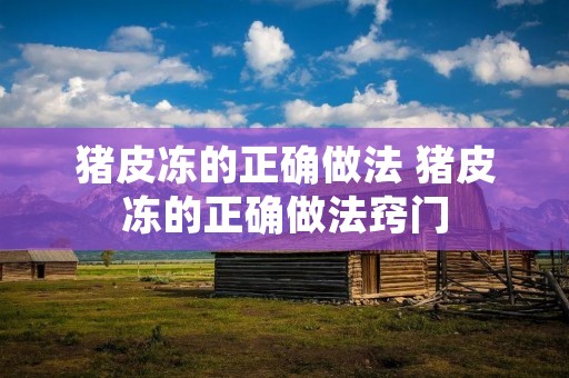 猪皮冻的正确做法 猪皮冻的正确做法窍门