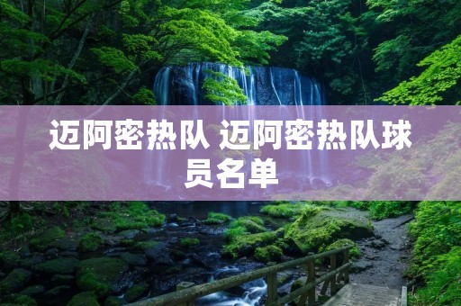 迈阿密热队 迈阿密热队球员名单