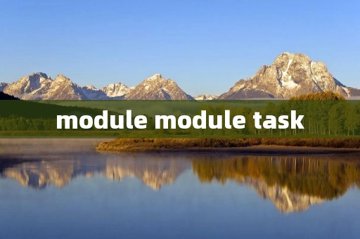 module module task