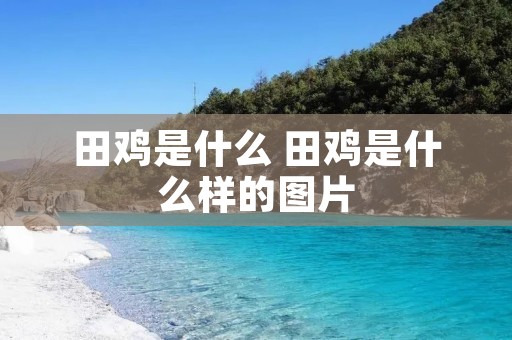 田鸡是什么 田鸡是什么样的图片
