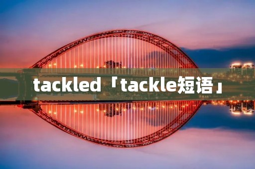 tackled「tackle短语」