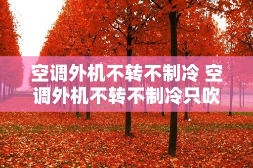 空调外机不转不制冷 空调外机不转不制冷只吹风