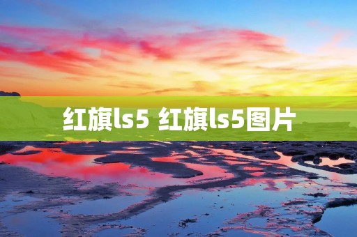 红旗ls5 红旗ls5图片