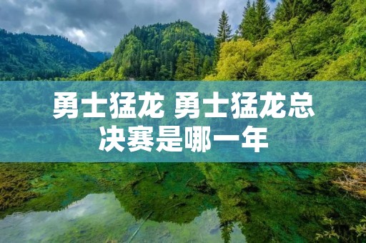 勇士猛龙 勇士猛龙总决赛是哪一年