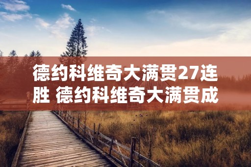 德约科维奇大满贯27连胜 德约科维奇大满贯成绩表