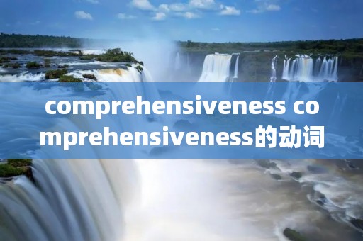 comprehensiveness comprehensiveness的动词