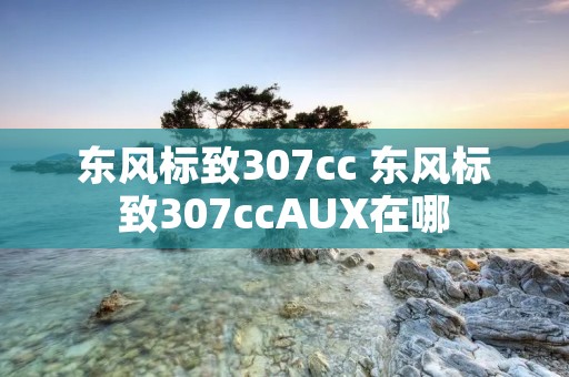 东风标致307cc 东风标致307ccAUX在哪 东风标致307cc 东风标致307ccAUX在哪