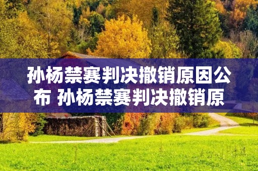 孙杨禁赛判决撤销原因公布 孙杨禁赛判决撤销原因公布