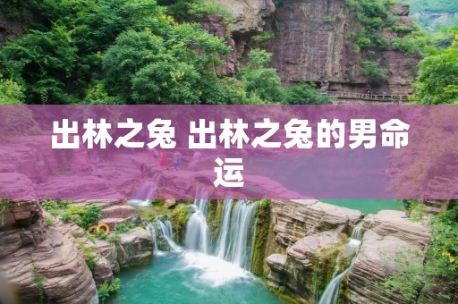 出林之兔 出林之兔的男命运