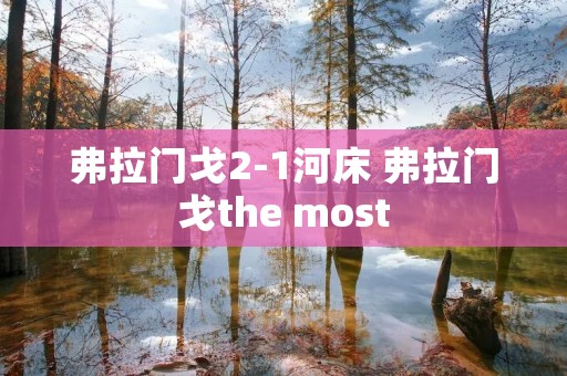 弗拉门戈2-1河床 弗拉门戈the most