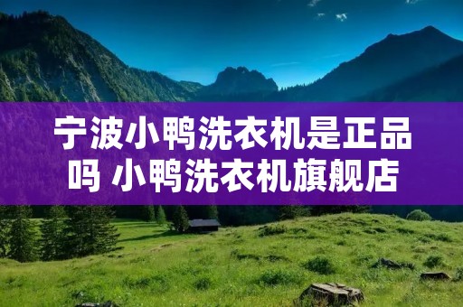 宁波小鸭洗衣机是正品吗 小鸭洗衣机旗舰店