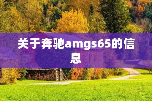 关于奔驰amgs65的信息 关于奔驰amgs65的信息